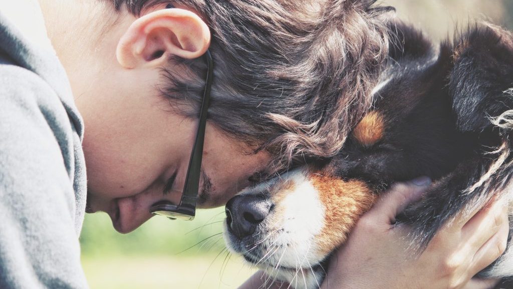 12 Uplifting Grief Quotes to Handle Adversity 